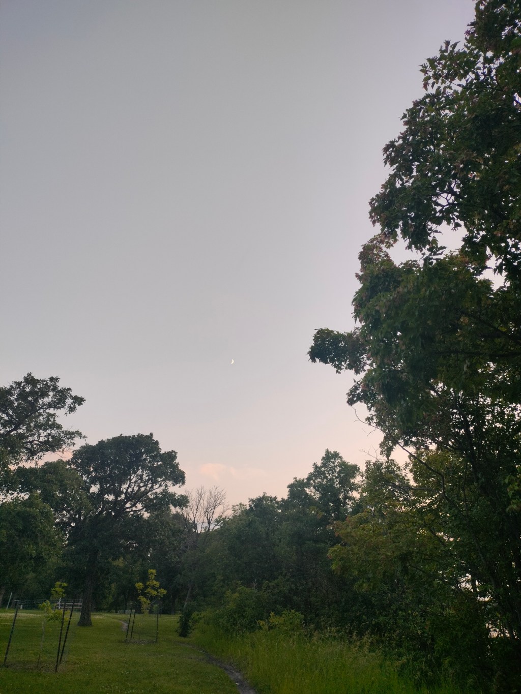 An ode to&nbsp;Surrealism